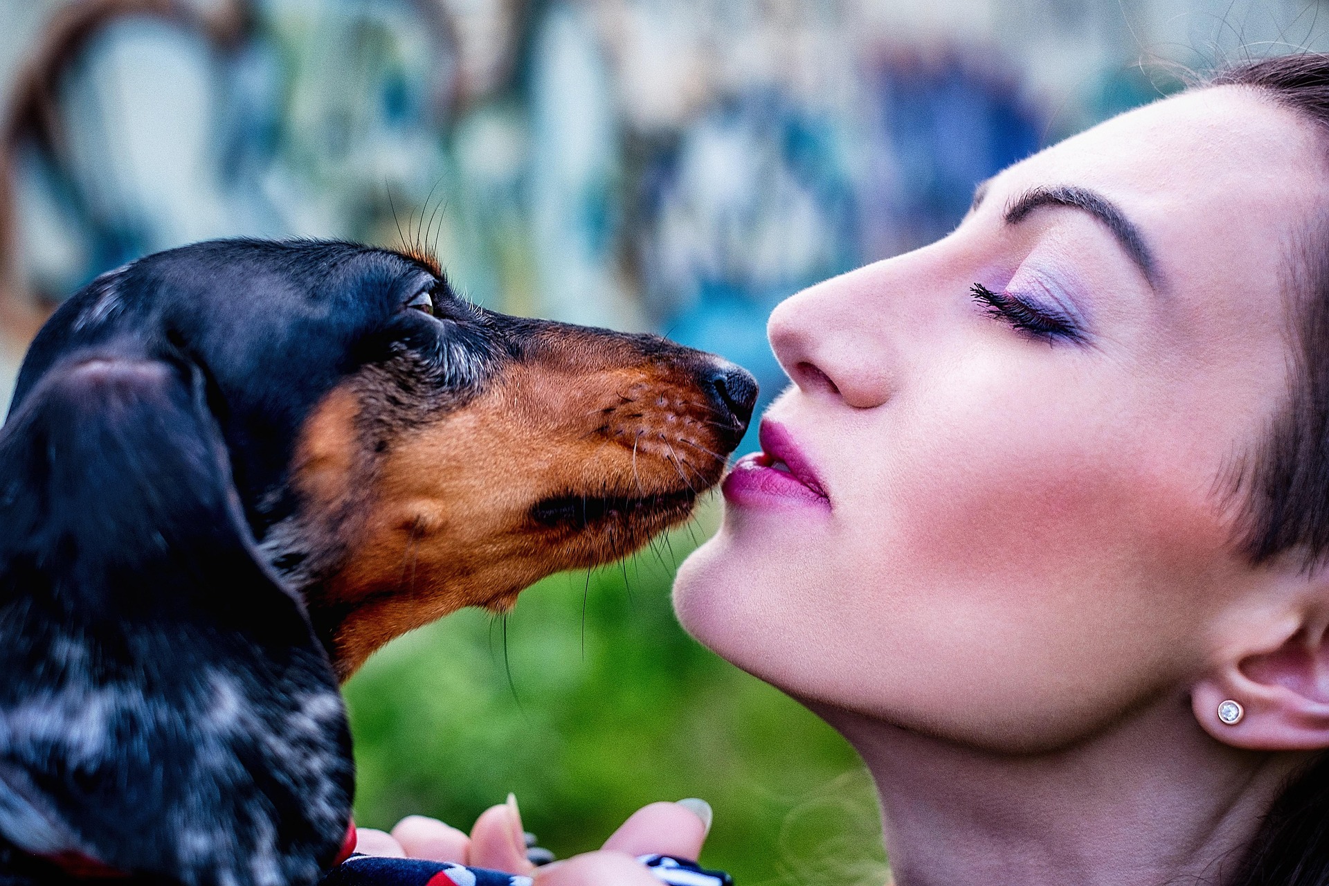 dog and woman